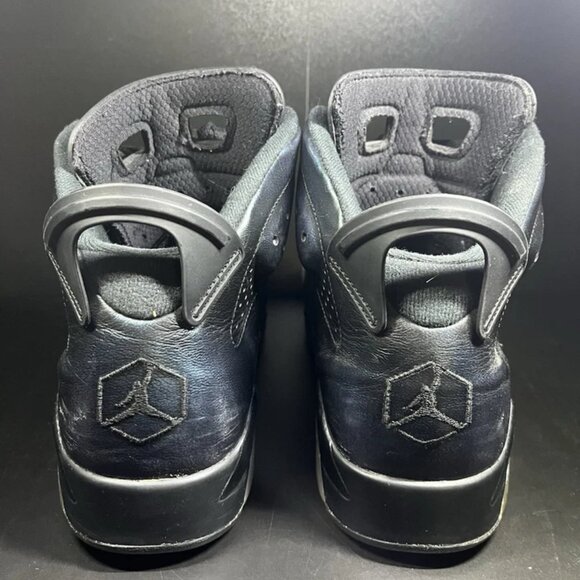 Air Jordan 6 Retro All Star 2017 Chameleon Mens Sz 10.5 US 907961-015 - Picture 5 of 6